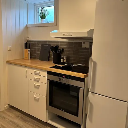 2 Bedroom Basement For 1-6 People With Free Parking Hønefoss