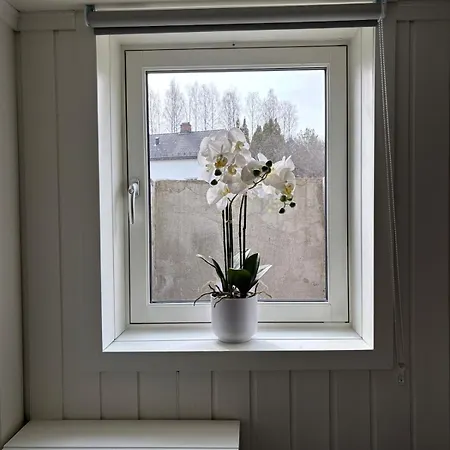 2 Bedroom Basement For 1-6 People With Free Parking Apartman Hønefoss