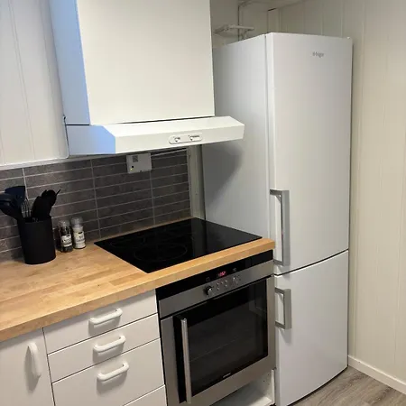 2 Bedroom Basement For 1-6 People With Free Parking Apartman Hønefoss