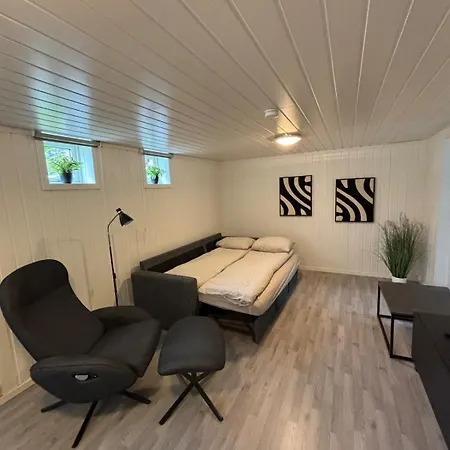 Apartman 2 Bedroom Basement For 1-6 People With Free Parking Hønefoss